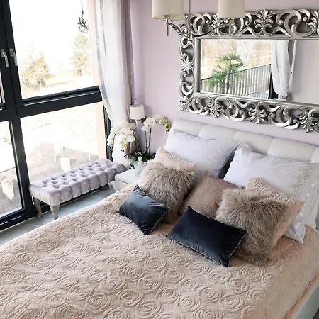 Kalifornia 米兹多洛杰