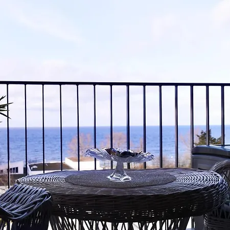 Kalifornia 米兹多洛杰