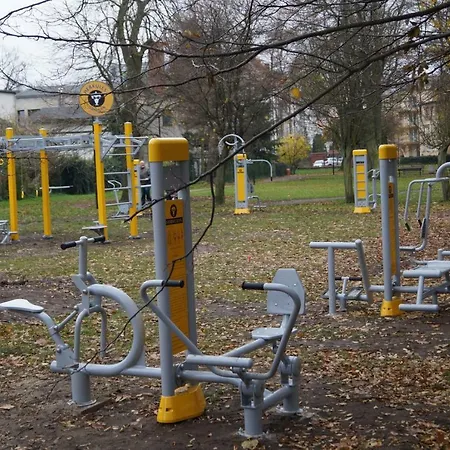 Kalifornia * 米兹多洛杰